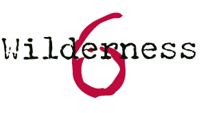 Wildernessnovel6